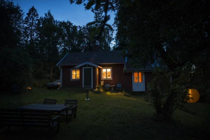 chalet en forêt le soir