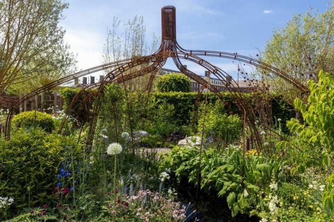 mains libres mangrove par grow2know conçu par tayshan hayden smith et danny clarke parrainé par le projet redonnant à l'appui de grow2know cic show garden rhs chelsea flower show 2022