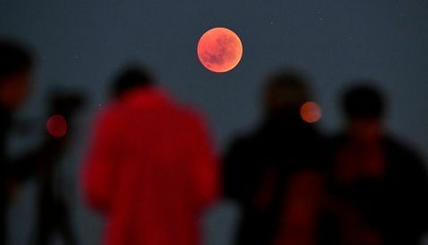 lune de sang australie