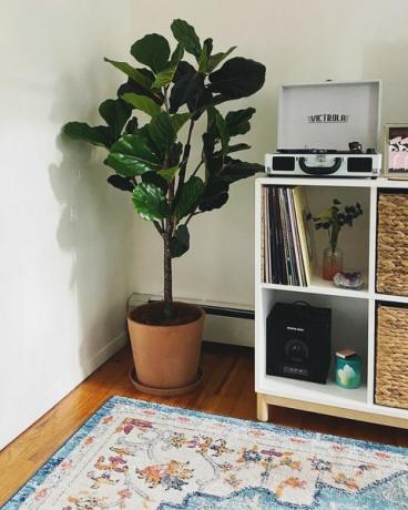 Faux fiddle leaf figuier dans le coin du salon