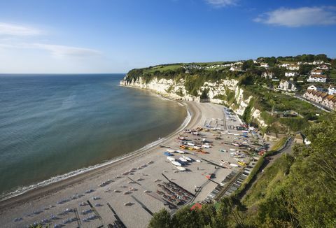 Bière - Devon