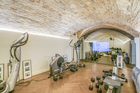 salle de gym à domicile avec des poids, vélo stationnaire, miroir intelligent et rameur