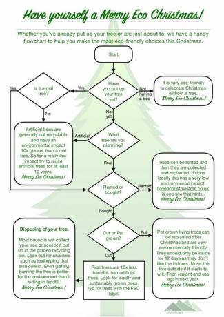 Choisir un organigramme écologique pour l'arbre de Noël