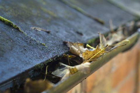 Feuilles d'automne bloquant les gouttières résidentielles.