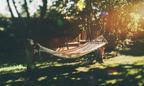 Hamac vide dans le jardin entre les arbres