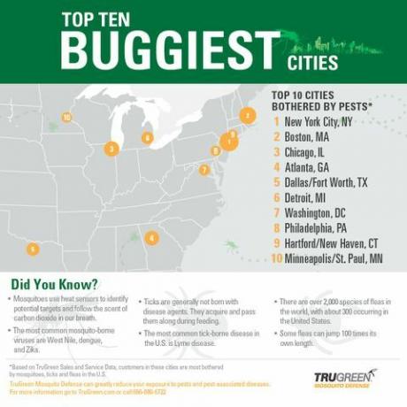 trugreen infograpic 10 villes les plus remplies d'insectes