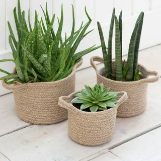 Ensemble de 3 pots de plantes tissés