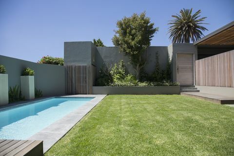 piscine dans le jardin