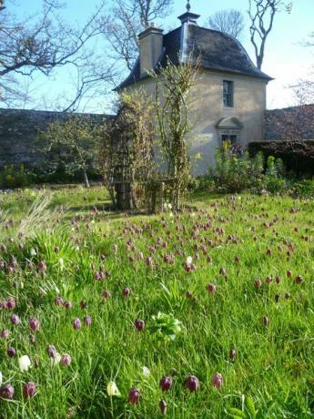 Maison Wormistoune - Schéma des jardins d'Ecosse