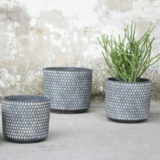 Pot de Perforation - Noir - Moyen