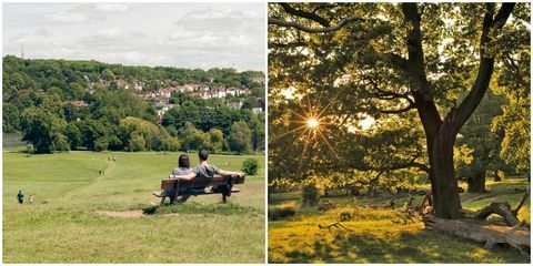 Hampstead Heath / Richmond Park, les meilleurs lieux de pique-nique de Londres