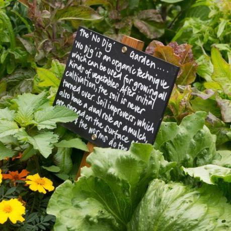 No dig jardin biologique signe à Ryton Organic Gardens, Warwickshire, Angleterre
