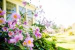 Comment rendre votre jardin avant présentable pour l'été