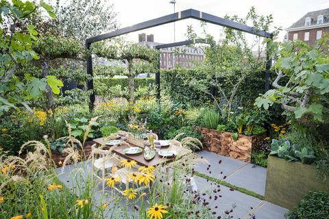 rhs chelsea flower show garden conçu par alan williams pour persil box avec landform consultants ltd, chelsea 2021 uk