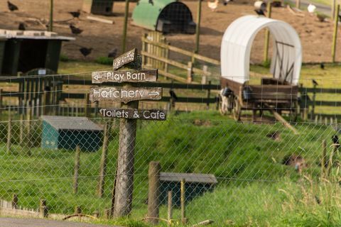 Parc animalier à vendre en Ecosse