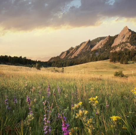 Vue panoramique sur prairie et montagnes, Boulder, Colorado, USA