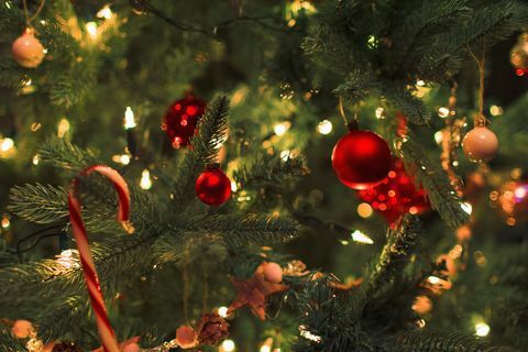 Bouchent les ornements et les guirlandes lumineuses sur l'arbre de Noël