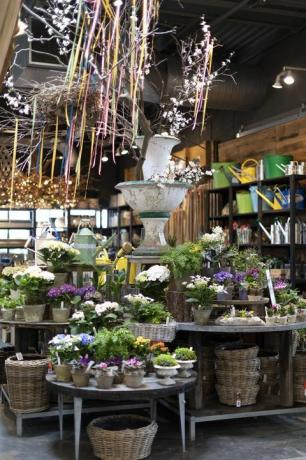 Le magasin Westport de Terrain est essentiellement le paradis des plantes