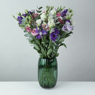 Lisianthus mixte