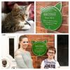 Des plaques vertes pour animaux de compagnie installées sur des maisons pour honorer les animaux les plus étonnants du Royaume-Uni