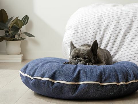 lit pour chien parachute x madewell denim