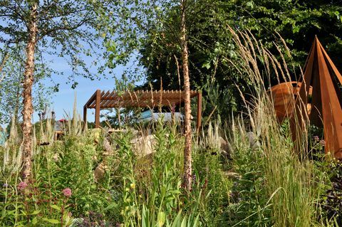 Plantation naturaliste résistante à la sécheresse avec des herbes pour la faune à cacher