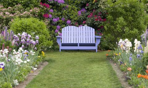 Banc coloré dans un jardin fleuri