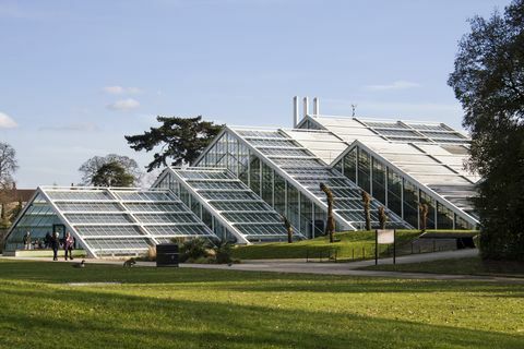 Le Conservatoire de Princesse de Galles à Kew Gardens