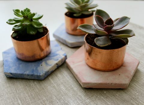 Jardinière succulente en marbre de béton de cuivre, Notonthehighstreet.com