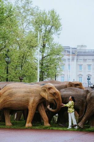 éléphants du palais de Buckingham