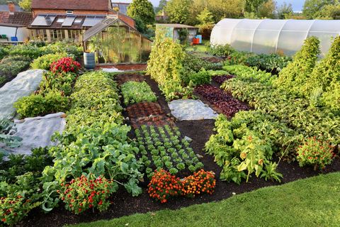 Jardin sans fouille de Charles Dowding