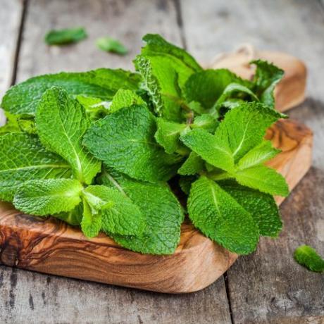 Bouquet de menthe fraîche bio sur une planche à découper en bois