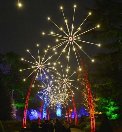 Les jardins de kew s'illuminent pour Noël