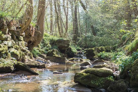 chalet à vendre dans le nord du yorkshire