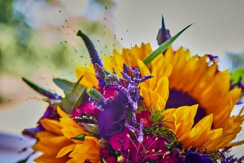 Mariage d'été dans la campagne britannique