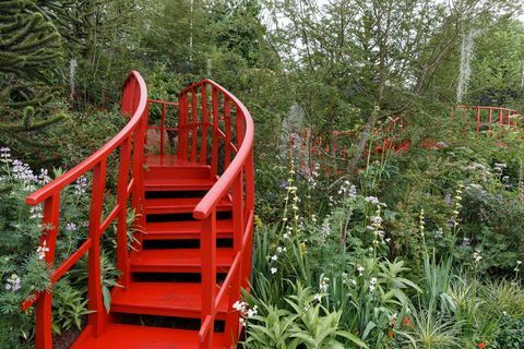 Jardin non découvert d'Amérique latine des Trailfinders, conçu par Jonathan Snow - Chelsea Flower Show 2019