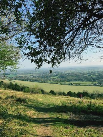 la campagne du surrey