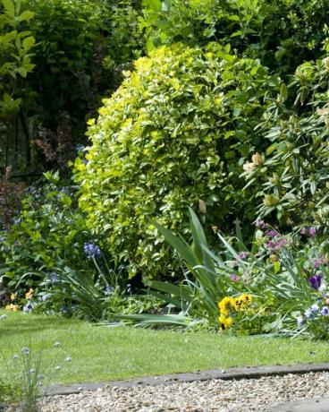 jardin de curé par une journée ensoleillée