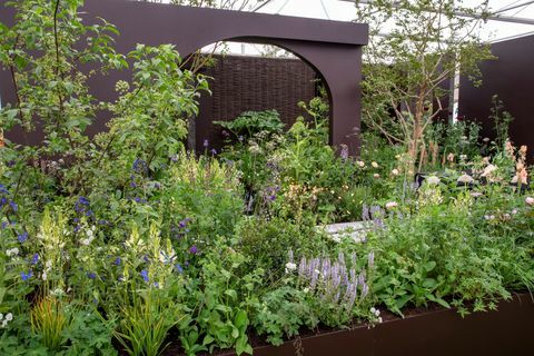 chelsea flower show 2022 tout sur les plantes jardins