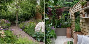 chelsea flower show 2023 gagnants des jardins