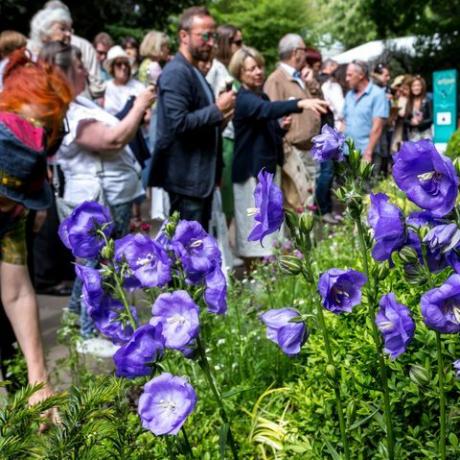 Des foules de visiteurs regardent les conceptions de jardin à l'exposition florale de Chelsea Rhs s'ouvre à Londres, en Angleterre le 22 mai 2019 photo de dominika zarzyckanurphoto