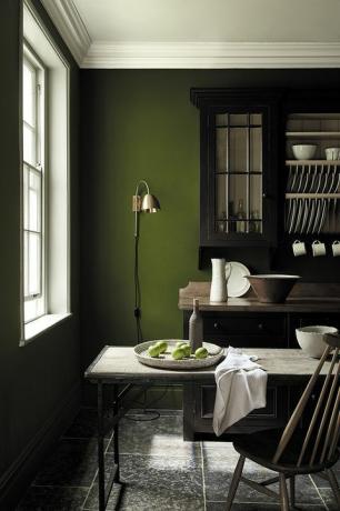 Little Greene 2018 Green Colourcard - Collection de peintures inspirée du National Trust