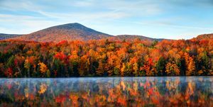 automne dans le vermont