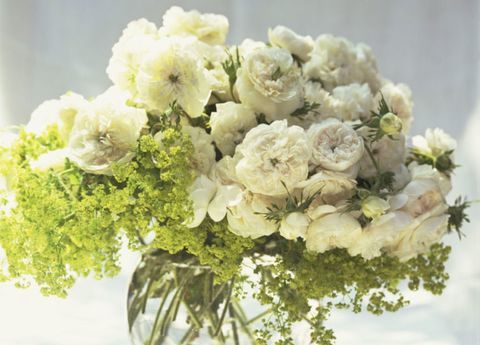 vase en fleurs blanches en verre