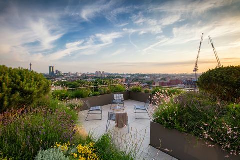 Prix ​​Society of Garden Designers - Emily Erlam - Lauréate du Roof Garden Award - SGD Awards 2017. PHOTO RICHARD BLOOM 