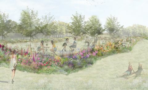 jardin de thé rose, rhs feature garden, conçu par pollyanna wilkinson, rhs hampton court palace garden festival 2022