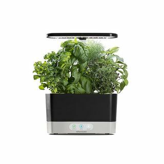 Récolte AeroGarden