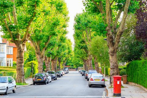 Rue bordée d'arbres dans le West Hampstead de Londres