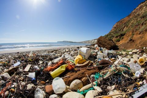 plage de déchets plastiques