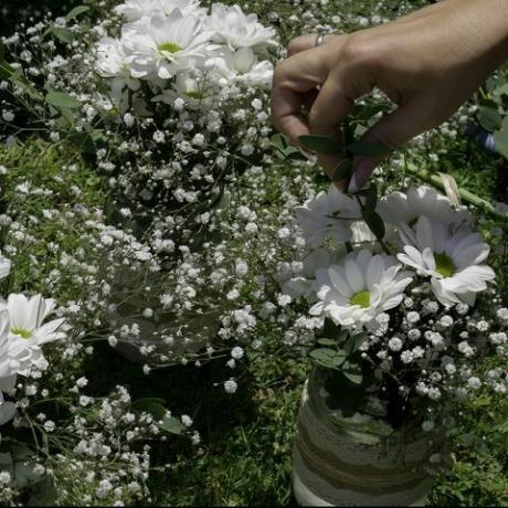 bouquets de marguerites blanches en bocaux